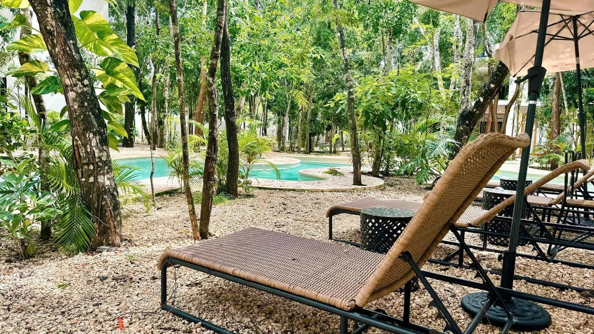 Apartment Jungle Suite 10 Mins To Beaches Y Trendy Hotspots Tulum
