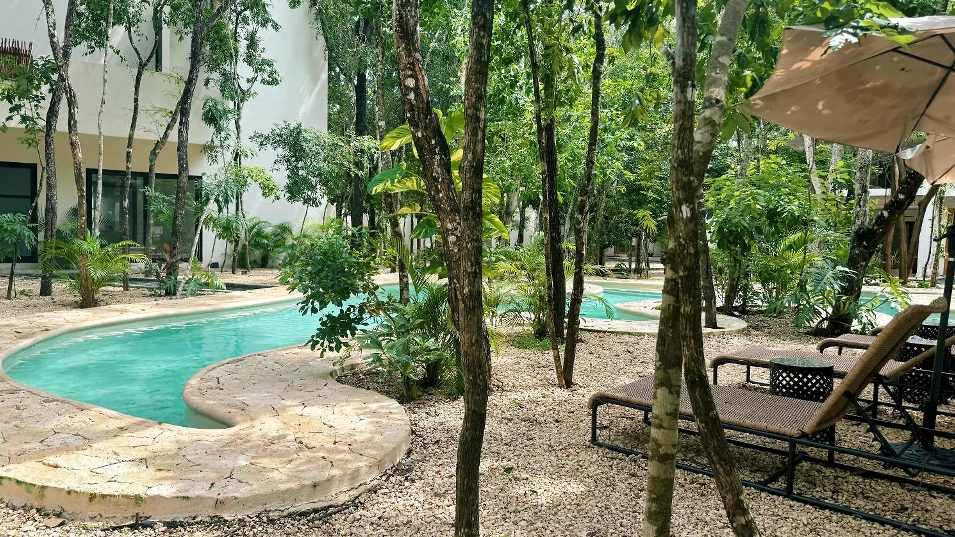 Jungle Suite 10 Mins To Beaches Y Trendy Hotspots Tulum Apartment