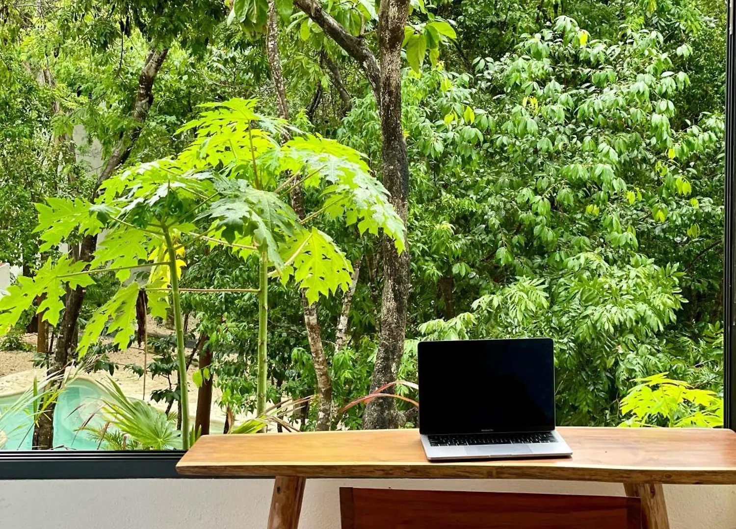 Jungle Suite 10 Mins To Beaches Y Trendy Hotspots Tulum